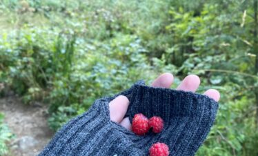 Малина в горах