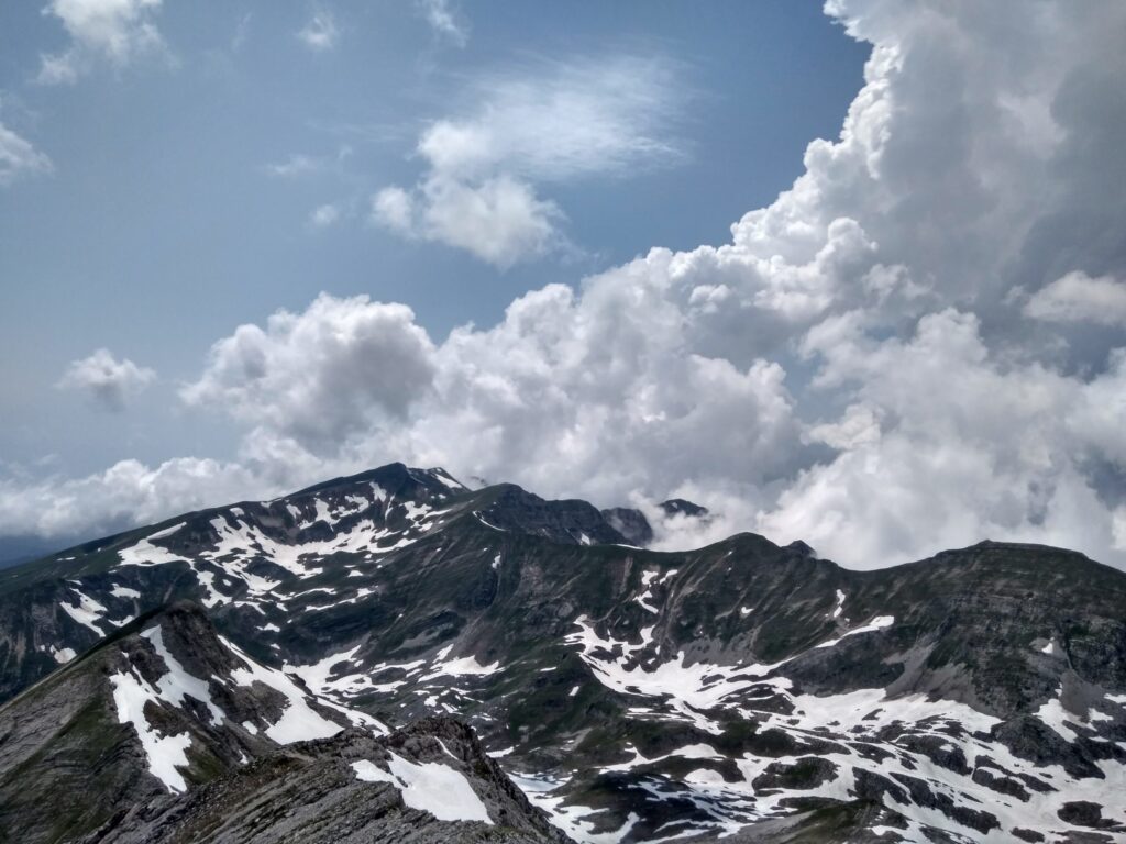 Арабика с оттенком Абхазии 11 IMG 20190616 142422 HDR scaled 1